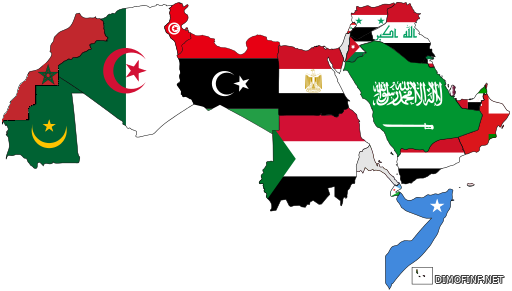 اسم أكبر الدول العربية
